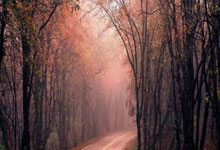 极速体育：亚冬会首秀开门红！冰壶混双循环赛中国队战胜哈萨克斯坦队央视新闻客户端.