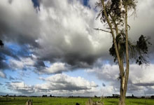 哈登17+8创纪录，雷霆横扫快船！小卡25+10，亚历山大29中7创神迹.